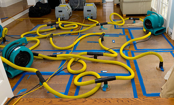 Professional Structural Drying And Dehumidification technician working in Hinsdale, NH